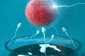 2026年未婚单身前往台湾做试管要准备多少钱？十五万够吗？