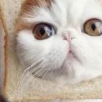 36岁基础卵泡3个能取到几个卵子做试管？发育成熟与否是关键